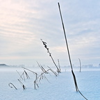 2021-02-09_085201_a7ii-DSC01016_edit