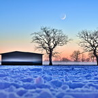 2021-02-13 191325 2021-02-13 191325 a7ii-DSC01068 reedit