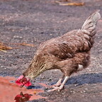 2017-10-01 110550 a7ii-DSC05665