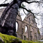 2026-02-14 143700 a7iii-DSC09232