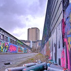 2026-02-14 151558 a7iii-DSC09247